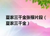 夏家三千金張檬片段（夏家三千金）