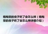 楊梅里的蟲子吃了會怎么樣（楊梅里的蟲子吃了會怎么樣詳細(xì)介紹）