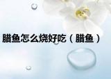 臘魚怎么燒好吃（臘魚）