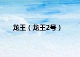 龍王（龍王2號(hào)）