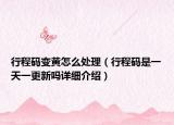 行程碼變黃怎么處理（行程碼是一天一更新嗎詳細(xì)介紹）