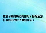 拉肚子喝楊梅酒有用嗎（楊梅酒為什么能治拉肚子詳細介紹）