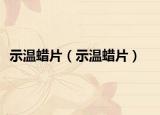 示溫蠟片（示溫蠟片）