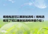 喝楊梅酒可以重新加酒嗎（楊梅酒喝完了可以重新加酒嗎詳細(xì)介紹）