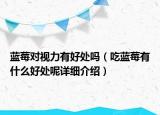 藍(lán)莓對視力有好處嗎（吃藍(lán)莓有什么好處呢詳細(xì)介紹）