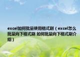 excel如何批量使用格式刷（excel怎么批量向下格式刷 如何批量向下格式刷介紹）