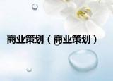 商業(yè)策劃（商業(yè)策劃）