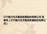遼寧振興生態(tài)集團發(fā)展股份有限公司 錢春風(fēng)（遼寧振興生態(tài)集團發(fā)展股份有限公司）