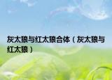 灰太狼與紅太狼合體（灰太狼與紅太狼）