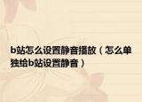 b站怎么設(shè)置靜音播放（怎么單獨給b站設(shè)置靜音）