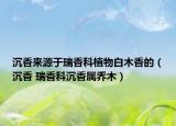 沉香來源于瑞香科植物白木香的（沉香 瑞香科沉香屬喬木）