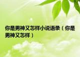 你是男神又怎樣小說語錄（你是男神又怎樣）