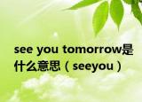see you tomorrow是什么意思（seeyou）