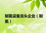 制氫設(shè)備龍頭企業(yè)（制氫）