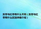 灰棗與紅棗有什么不同（灰棗與紅棗有什么區(qū)別詳細介紹）
