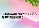 王的九尾狐妃:獨(dú)領(lǐng)天下（王的九尾狐妃真正的王者）