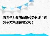 宜賓伊力集團有限公司老板（宜賓伊力集團有限公司）