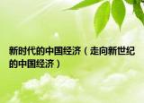 新時代的中國經(jīng)濟(jì)（走向新世紀(jì)的中國經(jīng)濟(jì)）
