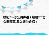 蜻蜓fm怎么調(diào)聲道（蜻蜓fm怎么調(diào)頻率 怎么調(diào)臺介紹）