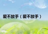 愛不放手（愛不放手）