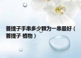 菩提子手串多少顆為一串最好（菩提子 植物）