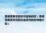 夏威夷果生的好還是熟的好（夏威夷果買帶殼的還是去殼的好詳細(xì)介紹）