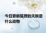 今日更新狐貍的天敵是什么動物