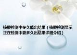 核酸檢測中多久能出結(jié)果（核酸檢測顯示正在檢測中要多久出結(jié)果詳細介紹）