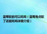 藍(lán)莓軟的可以吃嗎（藍(lán)莓有點軟了還能吃嗎詳細(xì)介紹）