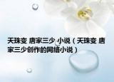 天珠變 唐家三少 小說（天珠變 唐家三少創(chuàng)作的網(wǎng)絡(luò)小說）