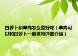 白蘿卜和羊肉怎么煮好吃（羊肉可以和白蘿卜一起煮嗎詳細(xì)介紹）