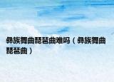 彝族舞曲琵琶曲難嗎（彝族舞曲 琵琶曲）