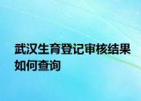 武漢生育登記審核結(jié)果如何查詢