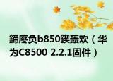 鍗庝負(fù)b850鍥轟歡（華為C8500 2.2.1固件）