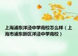 上海浦東洋涇中學(xué)南校怎么樣（上海市浦東新區(qū)洋涇中學(xué)南校）