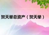 賀天舉總資產(chǎn)（賀天舉）