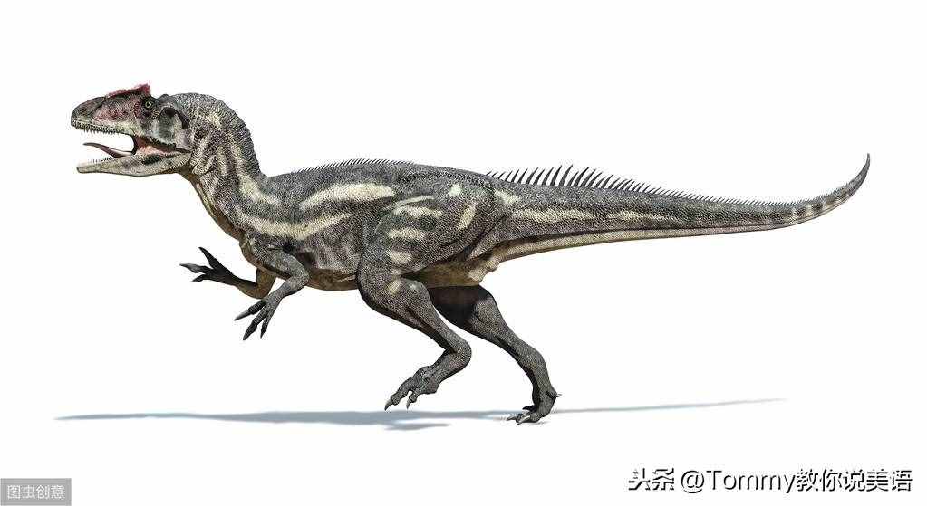 15秒記一個單詞（第2079個）dinosaur