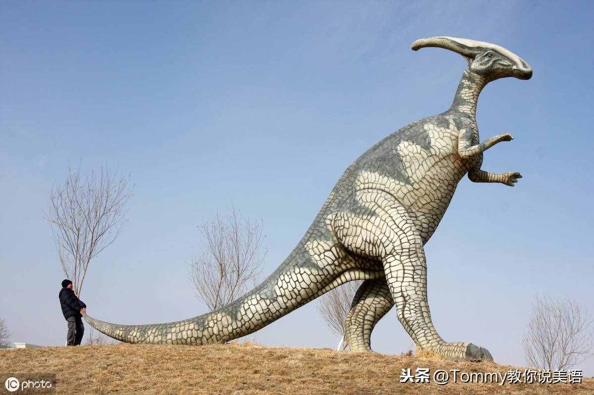 15秒記一個單詞（第2079個）dinosaur