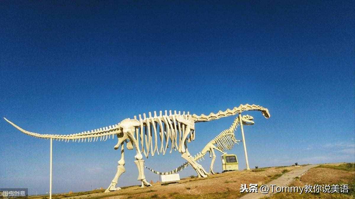 15秒記一個單詞（第2079個）dinosaur