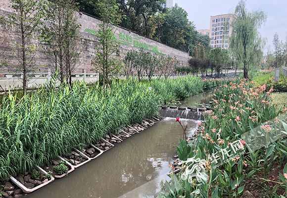 重慶河道管理?xiàng)l例執(zhí)行情況如何？市人大常委會(huì)執(zhí)法檢查組深入五區(qū)縣檢查