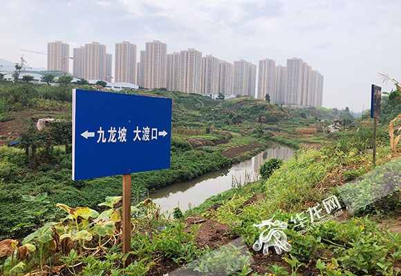 重慶河道管理?xiàng)l例執(zhí)行情況如何？市人大常委會(huì)執(zhí)法檢查組深入五區(qū)縣檢查