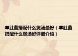 羊肚菌搭配什么煲湯最好（羊肚菌搭配什么煲湯好詳細(xì)介紹）