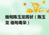 緬甸陳玉龍現狀（陳玉龍 緬甸毒梟）