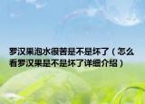 羅漢果泡水很苦是不是壞了（怎么看羅漢果是不是壞了詳細(xì)介紹）