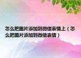 怎么把圖片添加到微信表情上（怎么把圖片添加到微信表情）