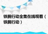 鐵腕行動(dòng)全集在線觀看（鐵腕行動(dòng)）