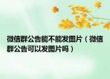 微信群公告能不能發(fā)圖片（微信群公告可以發(fā)圖片嗎）