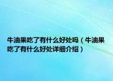 牛油果吃了有什么好處嗎（牛油果吃了有什么好處詳細(xì)介紹）