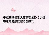 小紅書賬號永久封禁怎么辦（小紅書賬號封禁處理怎么辦?）