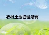 農(nóng)村土地歸誰所有